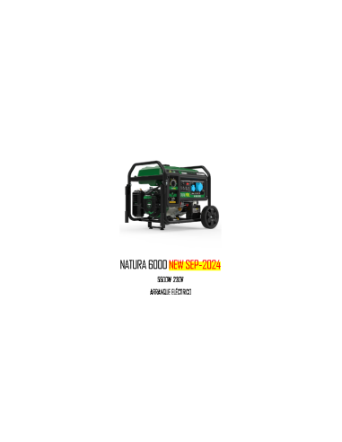 GENERADOR NATURA 6000 - GENERADOR 5500W 230V E-START