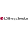 LG Energy Solutions